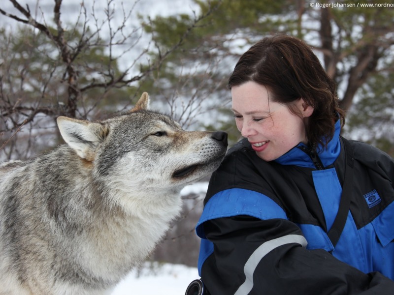 MAGIA ARTICA - TROMSO E ISOLE LOFOTEN — 5